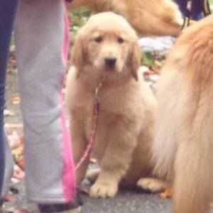 Meet your Posher, Kelsie